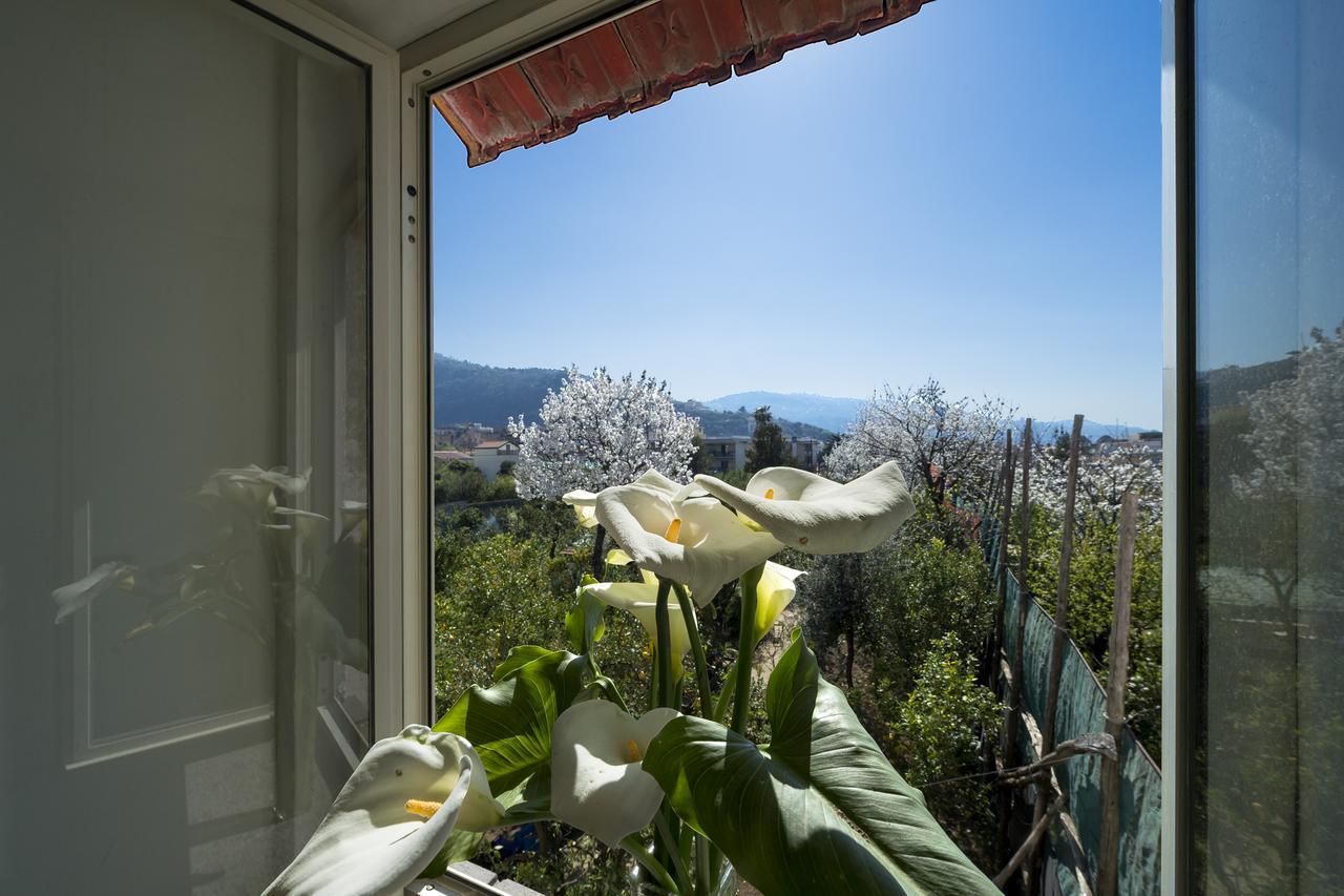 Villa Casa Lina Sant'Angelo  Esterno foto